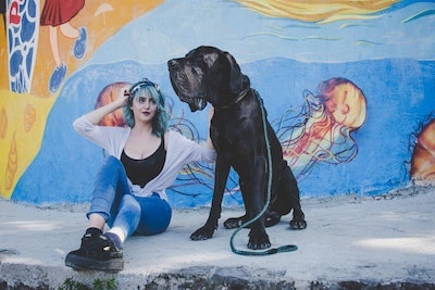 Perro grande ISLA Online
