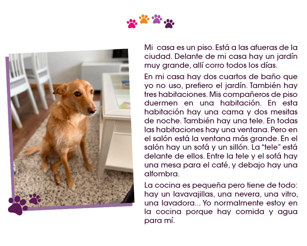 Texto Firulas ISLA Online Spanish