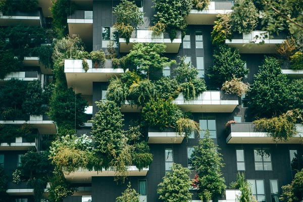 ¿Cómo es un hotel sostenible? El compromiso de un alojamiento